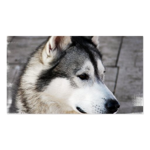 Malamute Business Card (back side)