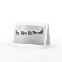 Malamute Chorus Alaska 1920 cards