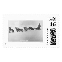 Malamute Chorus Alaska 1920 Stamps