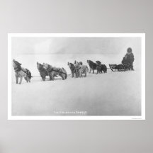 Malamute Chorus Alaska 1920 Posters