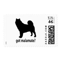 Malamute conseguido sello