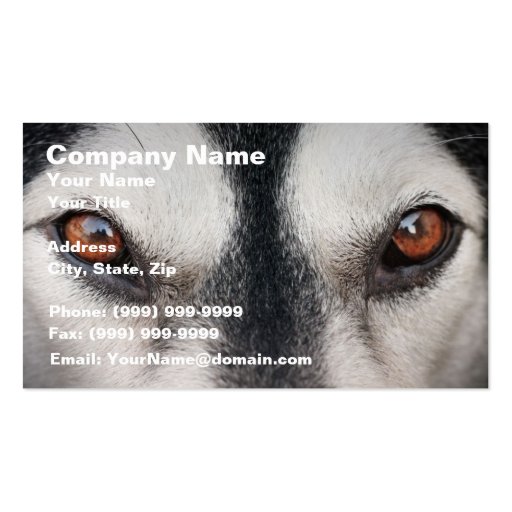 Malamute Dog Brown Eyes Business Cards (front side)