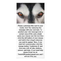 Malamute Dog Brown Eyes Custom Photo Card