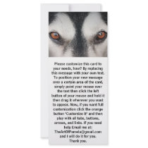 Malamute Dog Brown Eyes Custom Rack Card