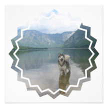 Malamute Dog Photo Design Invitation