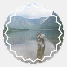 Malamute Dog Sticker