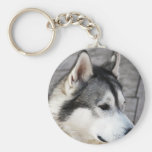 Malamute Photo Keychain