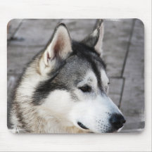 Malamute Photo Mouse Pad
