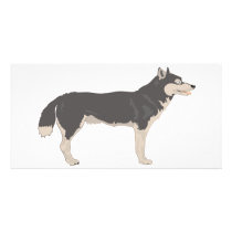 Malamute photo cards
