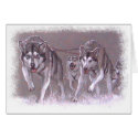 Malamutes Mushing cards