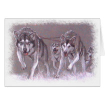 Malamutes Mushing cards by foxbrush Malamutes Mushing cards