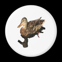 Malard Duck Non-Apparel magnets
