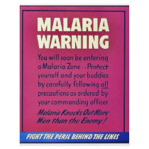 Malaria Warning flyers