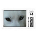 Mala's Eyes Stamp by KCsGallery Mala's Eyes Stamp