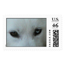 Mala's Eyes Stamp