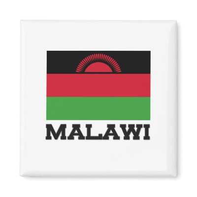 Malawi Flag Magnets by tshirtshirts