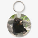 Malaya sun bear keychains