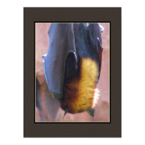 Malayan Flying Fox Bat posters by dduhaime55 Malayan Flying Fox Bat posters
