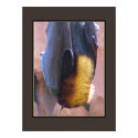 Malayan Flying Fox Bat posters