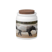 malayan-tapi12x9 candy jars