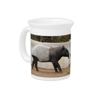 malayan-tapi12x9 pitchers