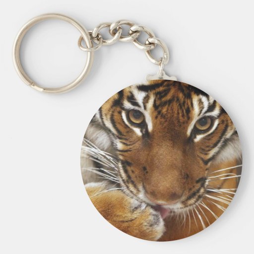 Malayan Tiger 1 keychain Zazzle