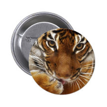 Malayan Tiger #1 pin