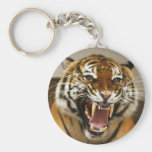 Malayan Tiger #2 keychain