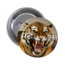 Malayan Tiger #2 pin