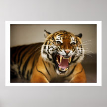 Malayan Tiger #2 poster