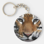 Malayan Tiger #3 keychain