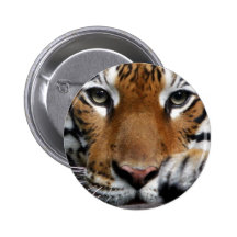 Malayan Tiger #3 pin
