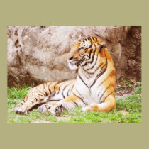 Malayan Tiger 4 posters