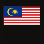 Malaysia Flag Map Spaghetti Top