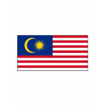 Malaysia FLAG International t-shirts by flagshirt Malaysia FLAG International t-shirts
