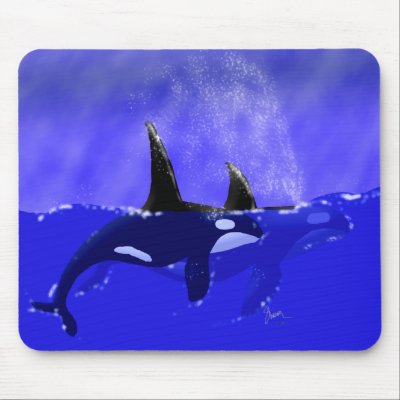 Male and Female Orca in Ocean Mouse Pad by Paintedlynx