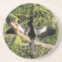 Male Anhinga Coaster