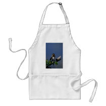 Male Anhinga, sunning Apron