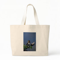 Male Anhinga, sunning Canvas Bags