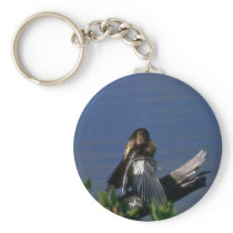 Male Anhinga, sunning Key Chains