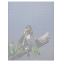 Male Anhinga, sunning Letterhead Design