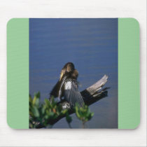 Male Anhinga, sunning Mousepad