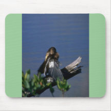 Male Anhinga, sunning Mousepad