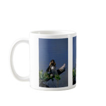 Male Anhinga, sunning Mugs