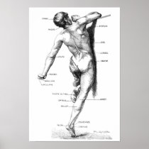 Male Autonomy - back Poster