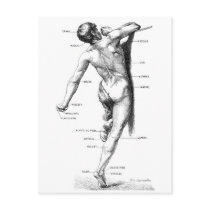 Male Back Postcards
