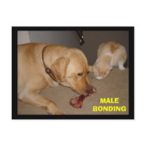 Male Bonding postcards