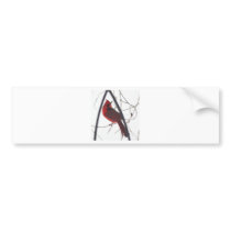 Male cardinal in snow 11 bumper stickers