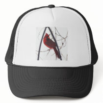 Male cardinal in snow 11 trucker hats