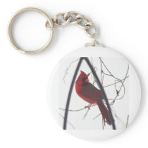 Male cardinal in snow 11 key chains